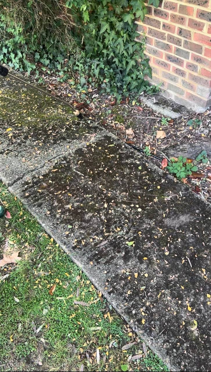 Mossy concrete before cleaning