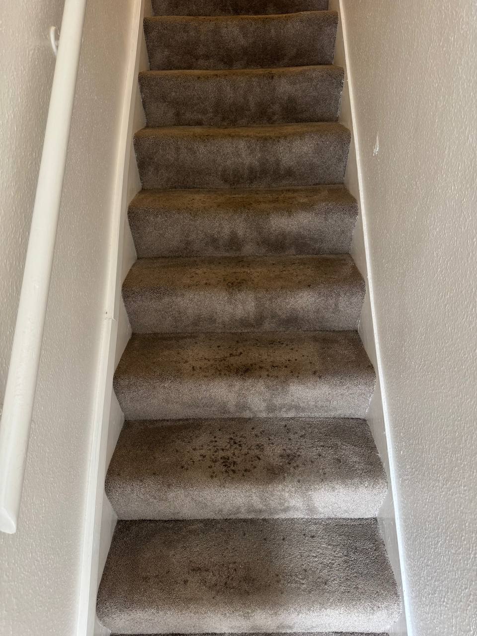 Stair carpet before