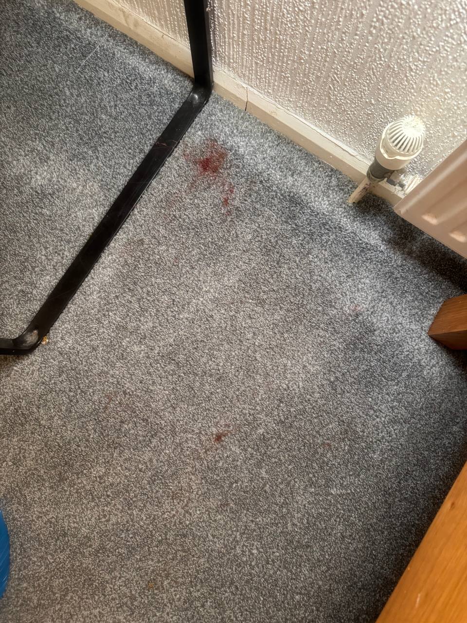 Stained bedroom carpet before