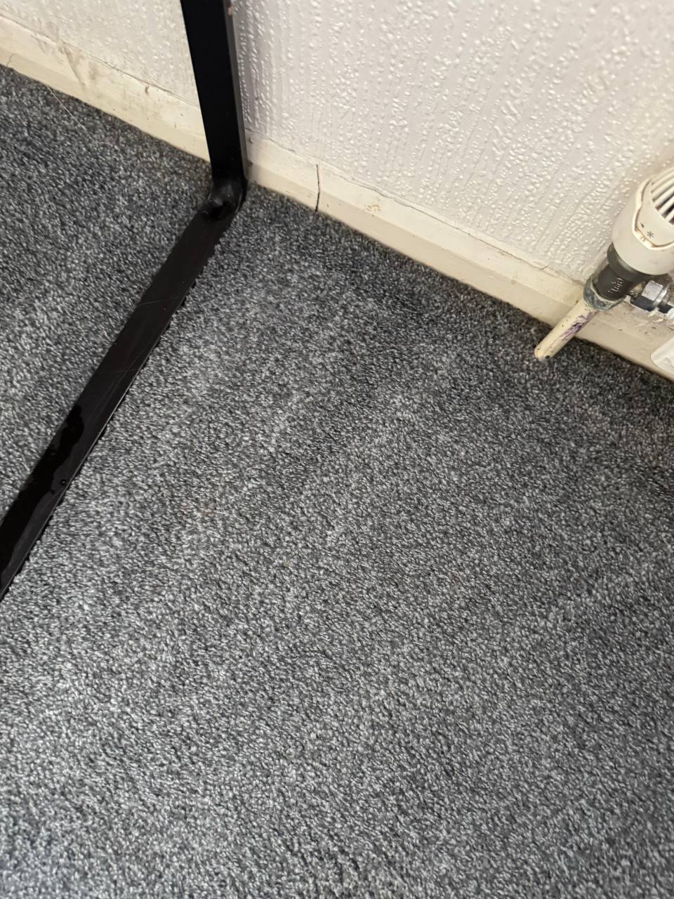 Clean bedroom carpet after steam cleaning