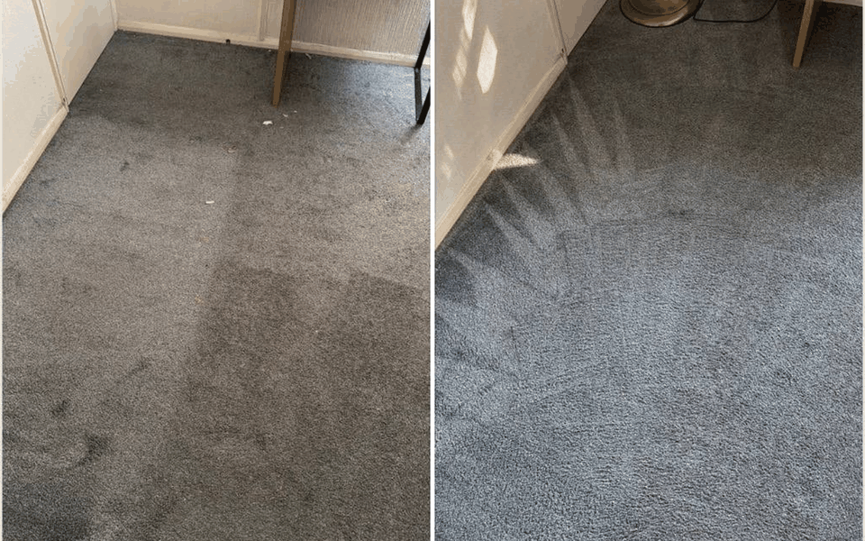 Study Carpet before and after carpet cleaning by OnlyClean